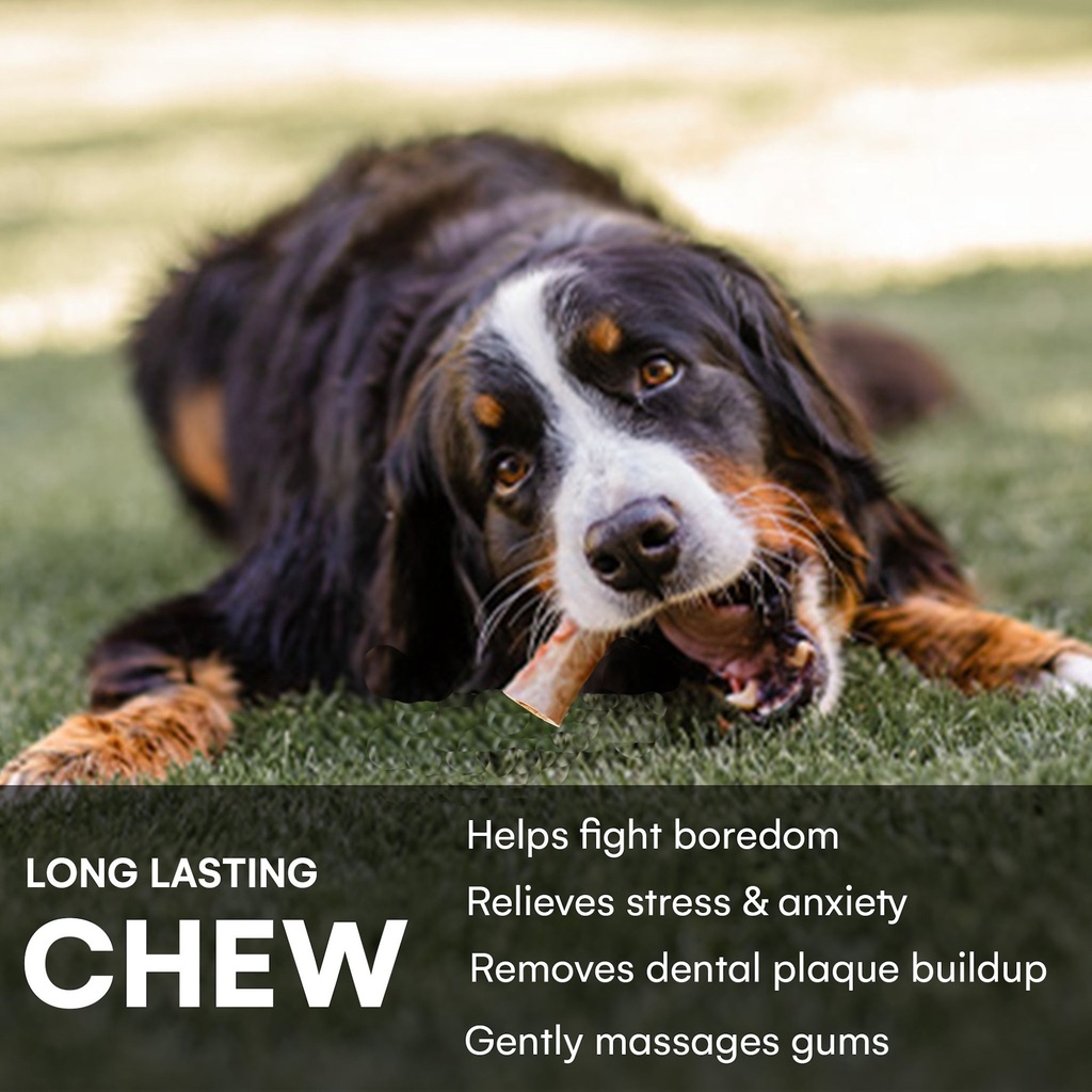 6" Beef Center Bones