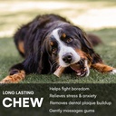 6" Beef Center Bones