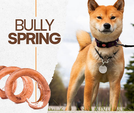 Bully Spring (Low-Odor) (44046i)