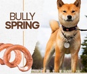 Bully Spring (Low-Odor) (44046i)