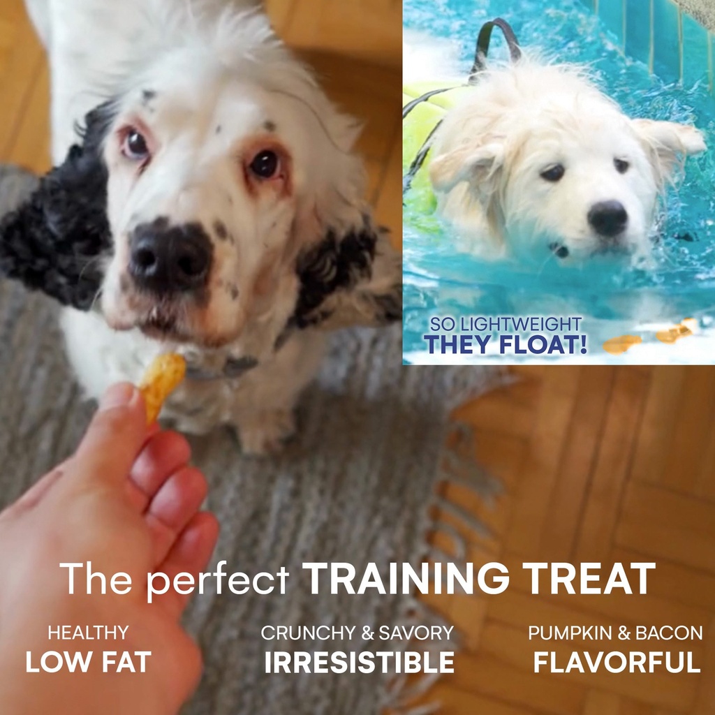 Crispy Collagen Punkin Puffs (2.5oz bag)