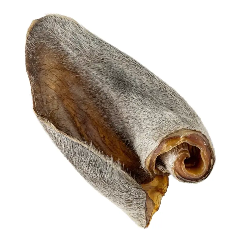 Cow Ear with Hair