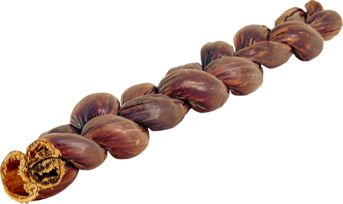 10" Braided Beef Gullet Sticks