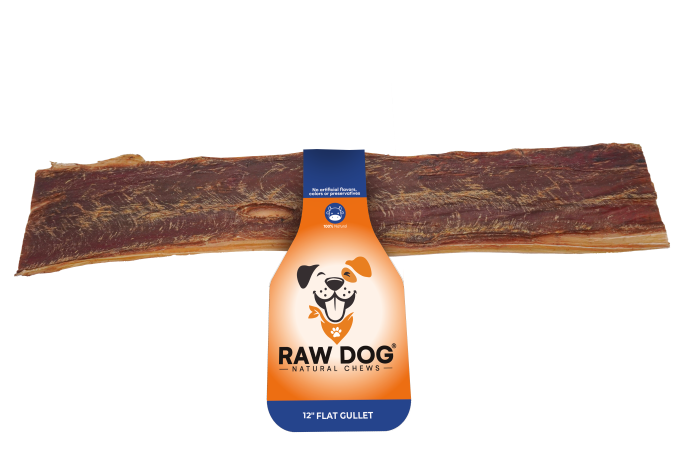 12" Jerky Flat Gullet