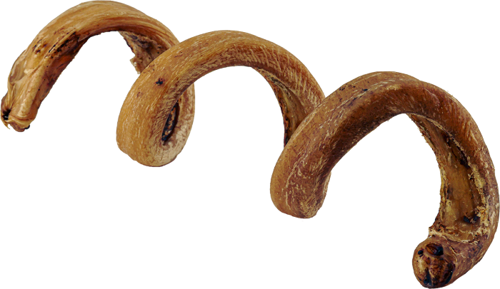 6 -8" Bully Spring (Low-Odor) Chews