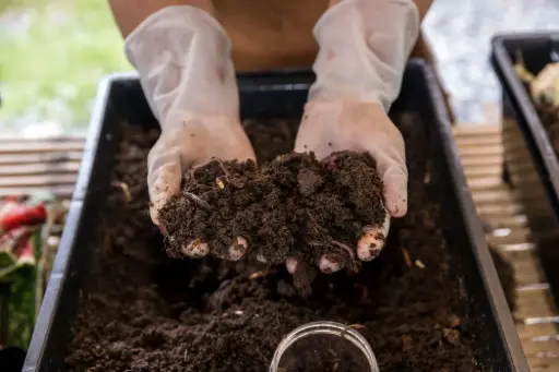 Potting Soil