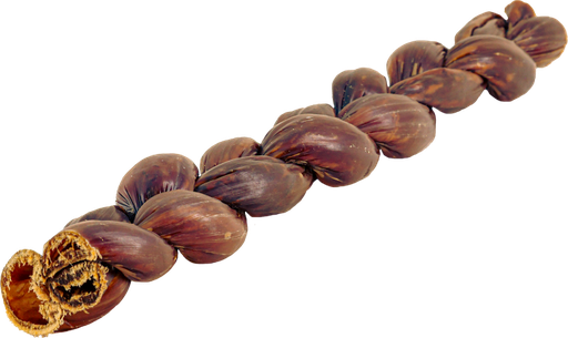 [44017] 10" Braided Beef Gullet Sticks